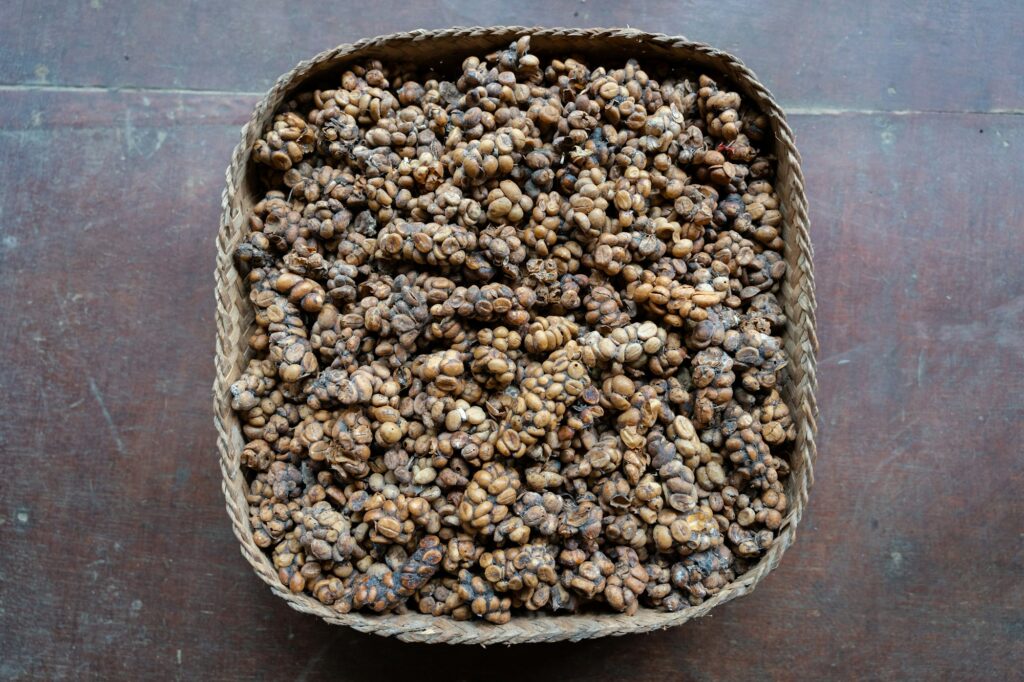 A basket with Kopi luwak (civet coffee), eaten and defecated by Asian palm civet